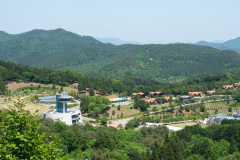Boseong, Boseong Green Tea Field Daehan Dawon