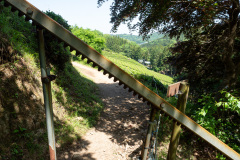 Boseong, Boseong Green Tea Field Daehan Dawon