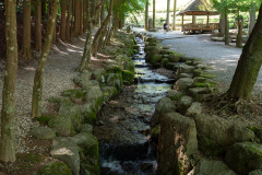 Boseong, Boseong Green Tea Field Daehan Dawon