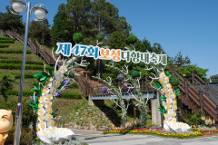Boseong, Boseong Green Tea Field Daehan Dawon, Boseong Green Tea Resort
