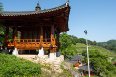 Boseong, Boseong Green Tea Field Daehan Dawon