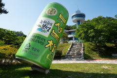 Boseong, Boseong Green Tea Field Daehan Dawon, Boseong Korean Tea Museum, Korean Tea Culture Park