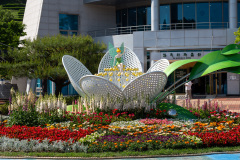 Boseong, Boseong Green Tea Field Daehan Dawon, Boseong Korean Tea Museum, Korean Tea Culture Park