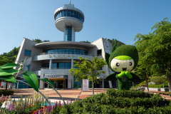 Boseong, Boseong Green Tea Field Daehan Dawon, Boseong Korean Tea Museum, Korean Tea Culture Park