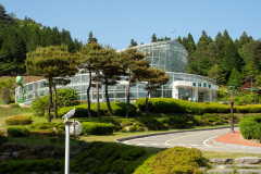 Boseong, Boseong Green Tea Field Daehan Dawon, World Tea Tree Plant Museum, 세계차나무식물관