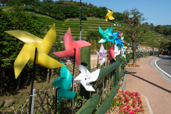 Boseong, Boseong Green Tea Field Daehan Dawon
