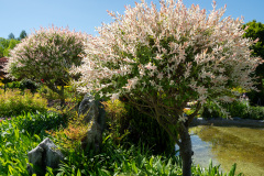 Suncheon, Suncheon Bay National Garden