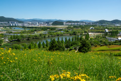 Suncheon, Suncheon Bay National Garden, Suncheon Bay National Garden Observatory, 순천만국가정원 전망대