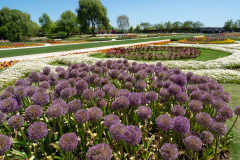 Suncheon, Suncheon Bay National Garden