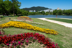 Suncheon, Suncheon Bay National Garden