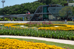Suncheon, Suncheon Bay National Garden, Suncheonman Skycube