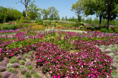 Suncheon, Suncheon Bay National Garden