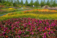 Suncheon, Suncheon Bay National Garden