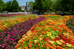 Suncheon, Suncheon Bay National Garden