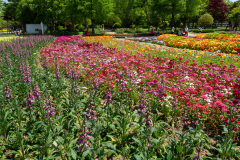 Suncheon, Suncheon Bay National Garden