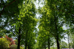 Suncheon, Suncheon Bay National Garden