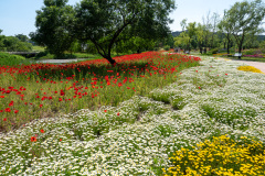 Suncheon, Suncheon Bay National Garden