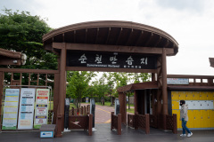 Suncheon, Suncheon Bay Nature Reserve, Suncheonman Wetland