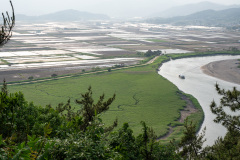 Suncheon, Suncheon Bay Nature Reserve, Suncheon Bay Reed Field, Yongsan Observatory, Suncheonman Wetland