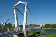 Dongcheon River, Dongcheon Suspension Bridge, Ocheon Green Square, Suncheon, 동천출렁다리, 오천그린광장