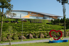Boseong, Botjae Tea House, 그린다향
