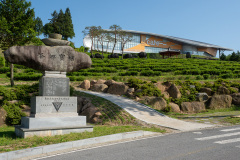 Boseong, Botjae Tea House, 그린다향
