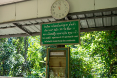 D218546