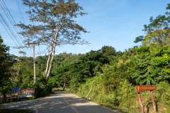 D238765
