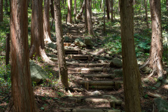 Mireuksan
