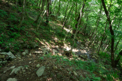 Mireuksan