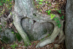 Mireuksan
