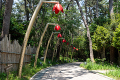 DPIRANG, Nammangsan