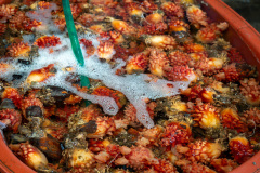 Seoho Market