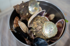 Tongyeong Seafood Ttukbaegi