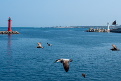 Seongsan Port