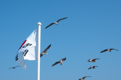 Seogwipo
