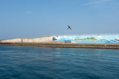 Seongsan Port