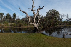D242297-Pano