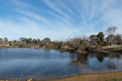 D242309-Pano