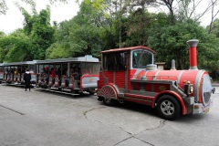 D193007