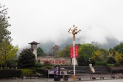 D203020