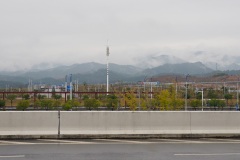 D203028