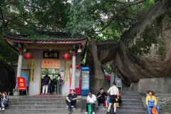 D253577