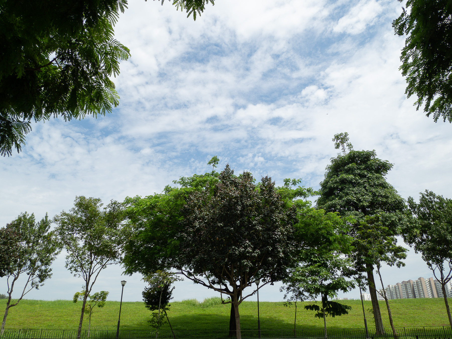 Duo Cycling – 21 Mar 2022