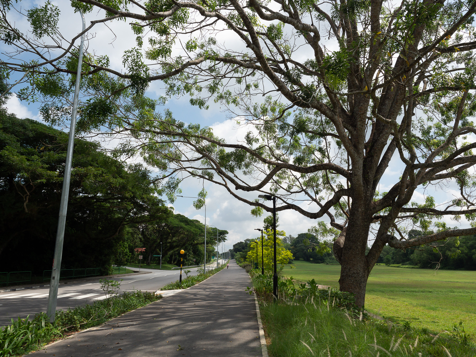 Duo Cycling (RIR) – 24 Mar 2022