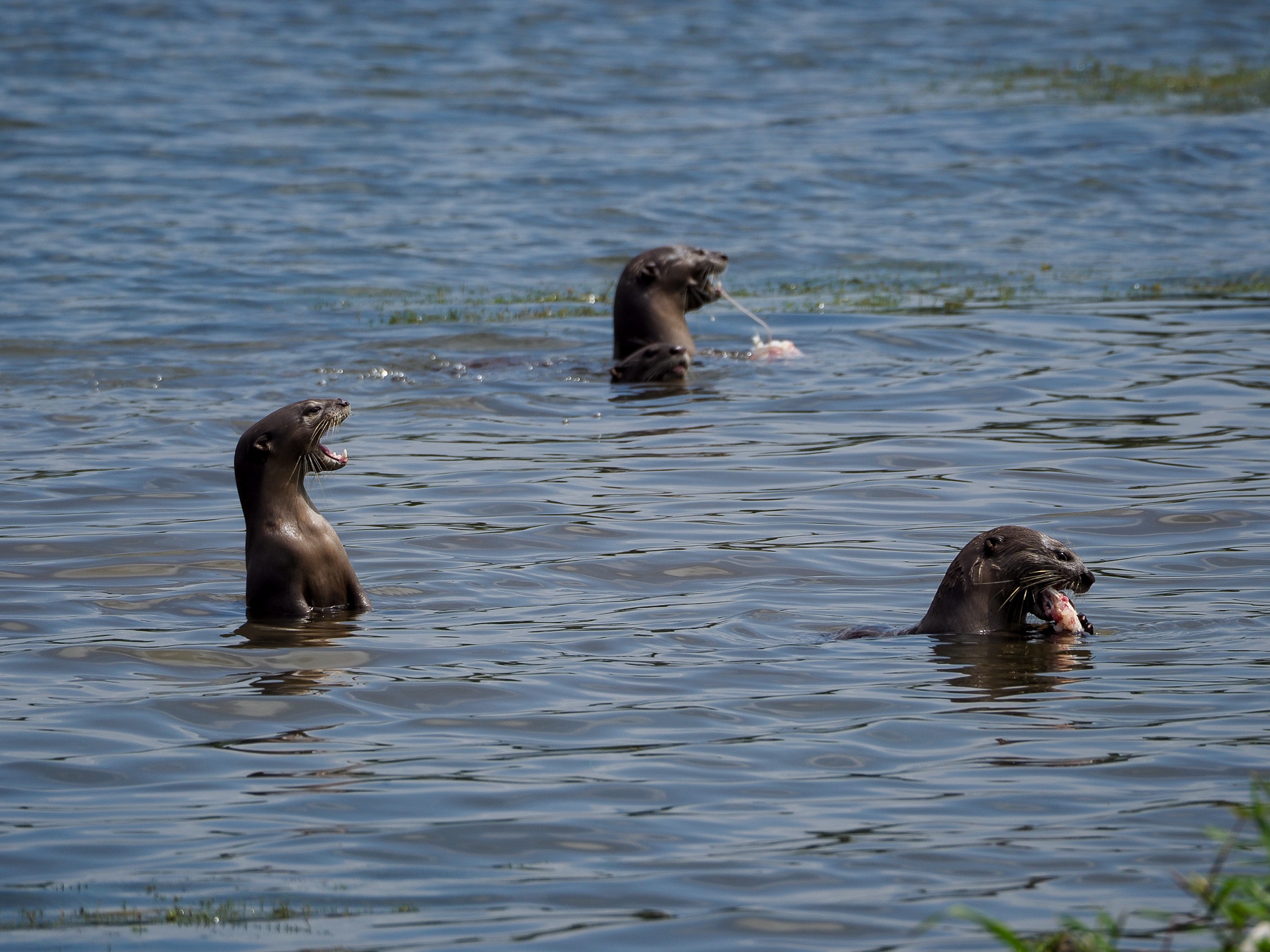 Duo Cycling – 6 Mar 2023