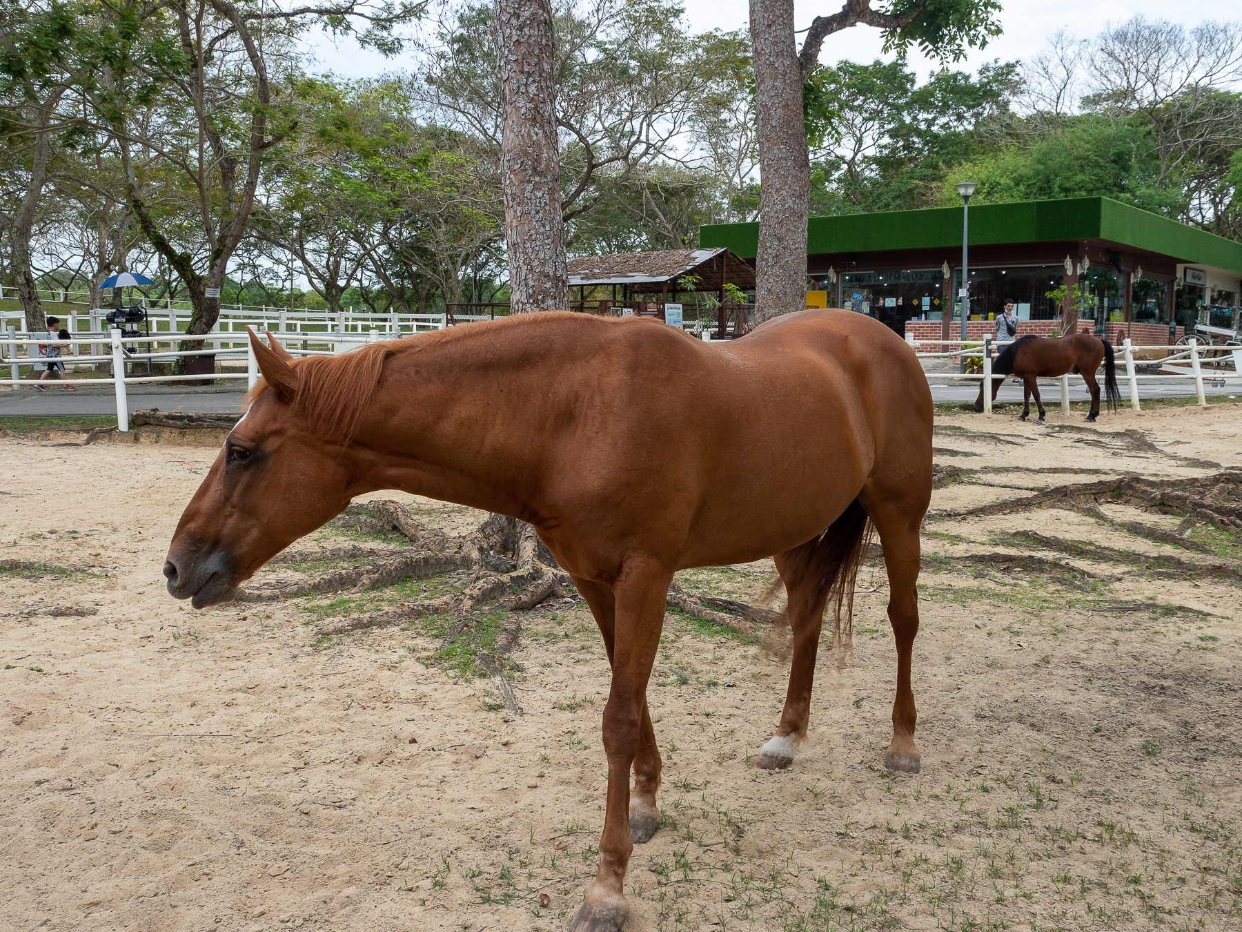 Duo Cycling – 14 Mar 2023